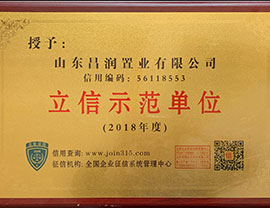 立信示范单位