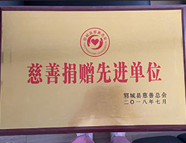 慈善捐赠先进单位 郓城县慈善总会
