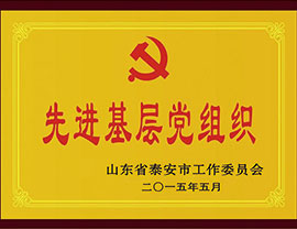 公司荣誉03