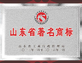 公司荣誉05